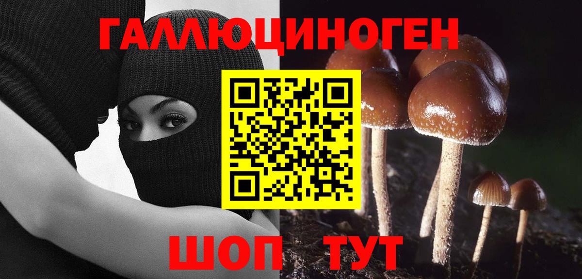 Киреевск  Псилоцибиновые грибы Psilocybine cubensis  Вход с VPN 