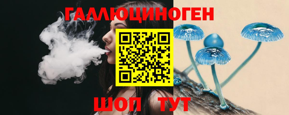 Галлюциногенные грибы Cubensis Киреевск